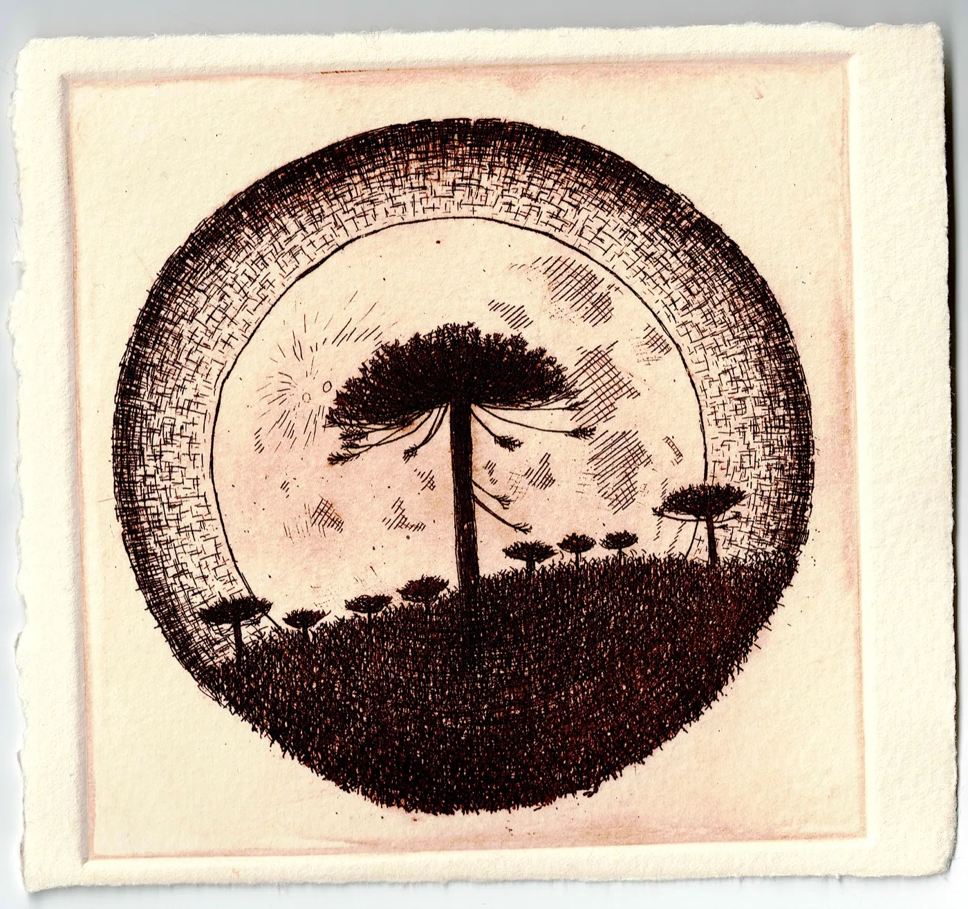 Grabado circular de una araucaria sobre una colina oscura, rodeada de araucarias pequeñas, con un cielo claro y un anillo de achurado denso.